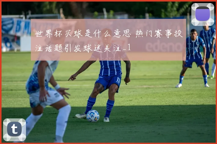 世界杯买球是什么意思 热门赛事投注话题引发球迷关注_1