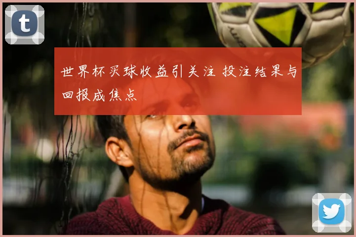 世界杯买球收益引关注 投注结果与回报成焦点