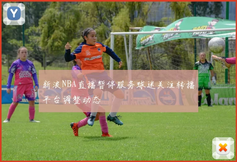 新浪NBA直播暂停服务球迷关注转播平台调整动态