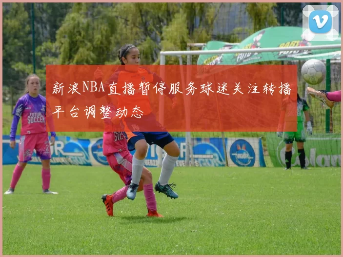 新浪NBA直播暂停服务球迷关注转播平台调整动态